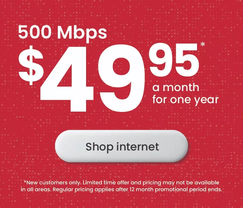 Zoom for just $49.95 per month for 12 months!*